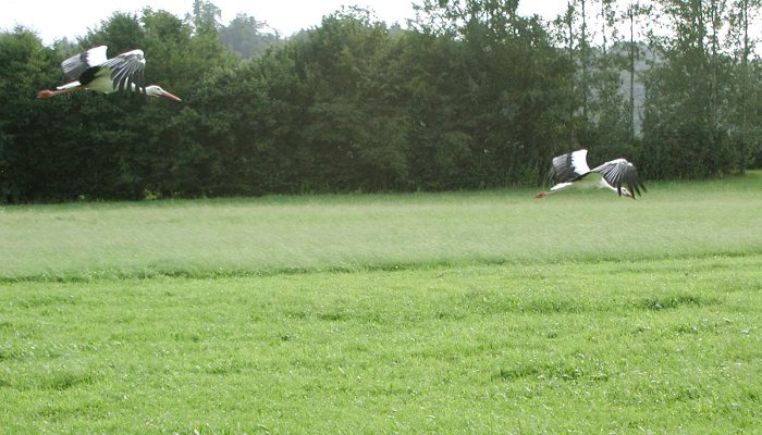20040821