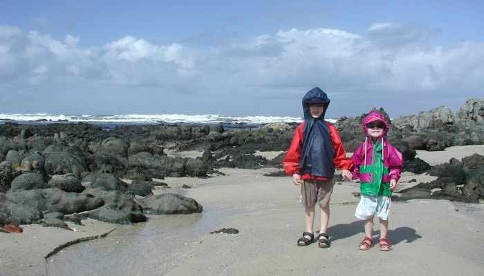 20070306