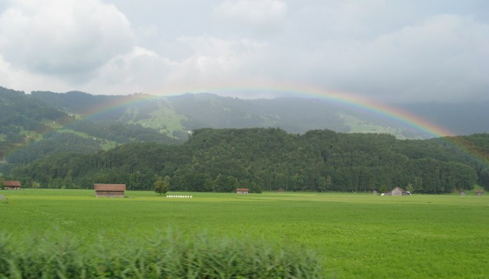 20090715