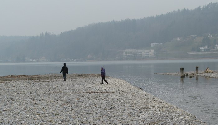 20110305
